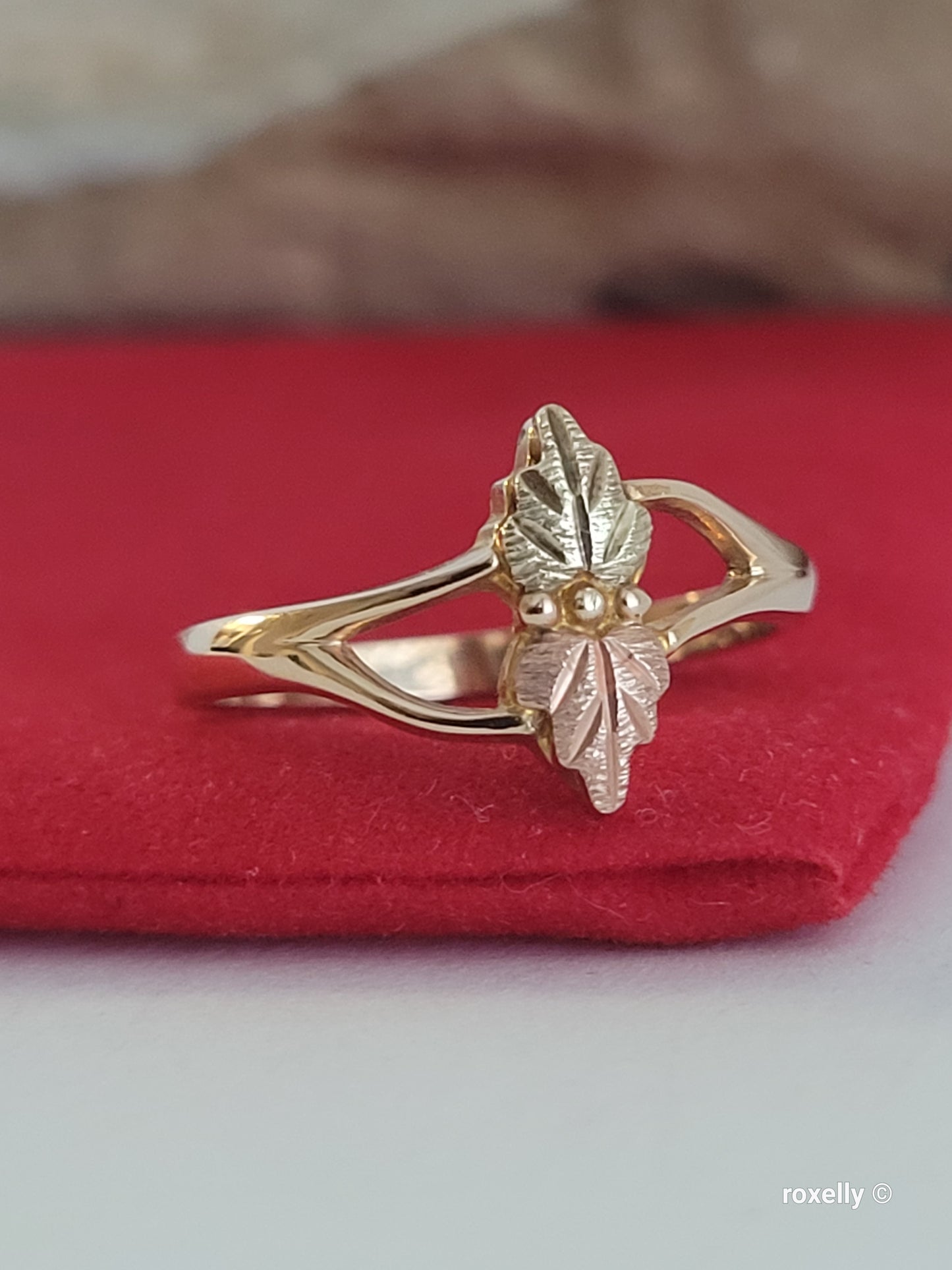 ❤️10k Size 6 Precious Solid Yellow Gold Leaves-Shaped Black Hills Ring!
