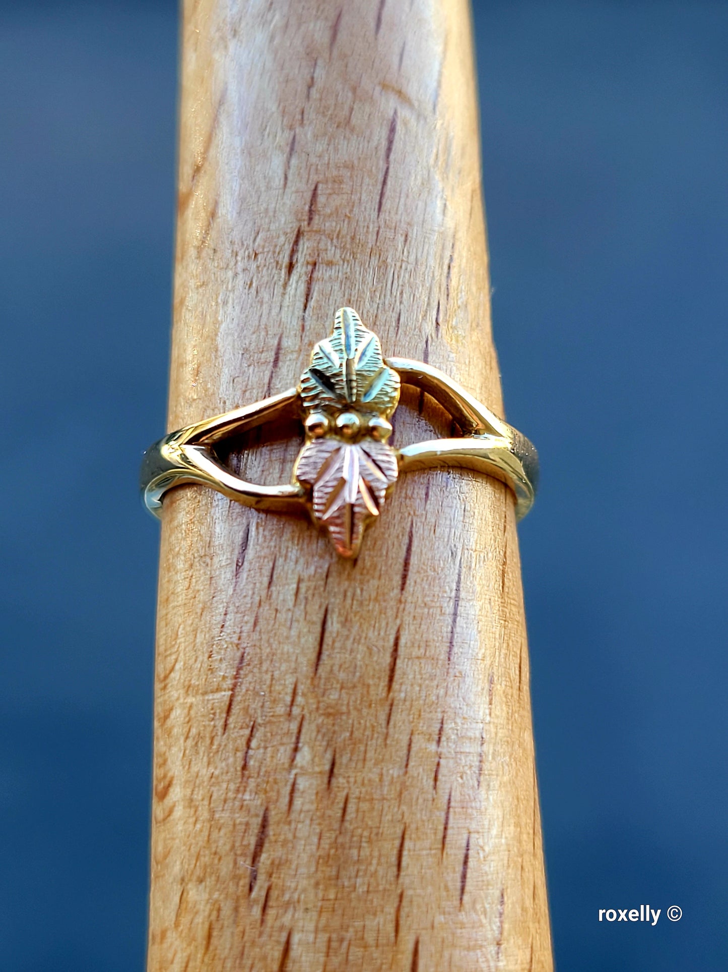 ❤️10k Size 6 Precious Solid Yellow Gold Leaves-Shaped Black Hills Ring!