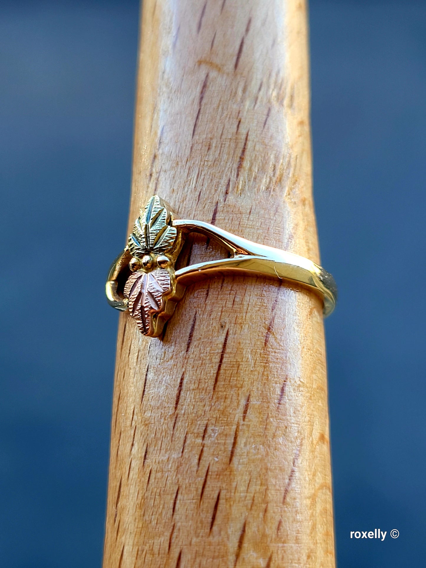 ❤️10k Size 6 Precious Solid Yellow Gold Leaves-Shaped Black Hills Ring!