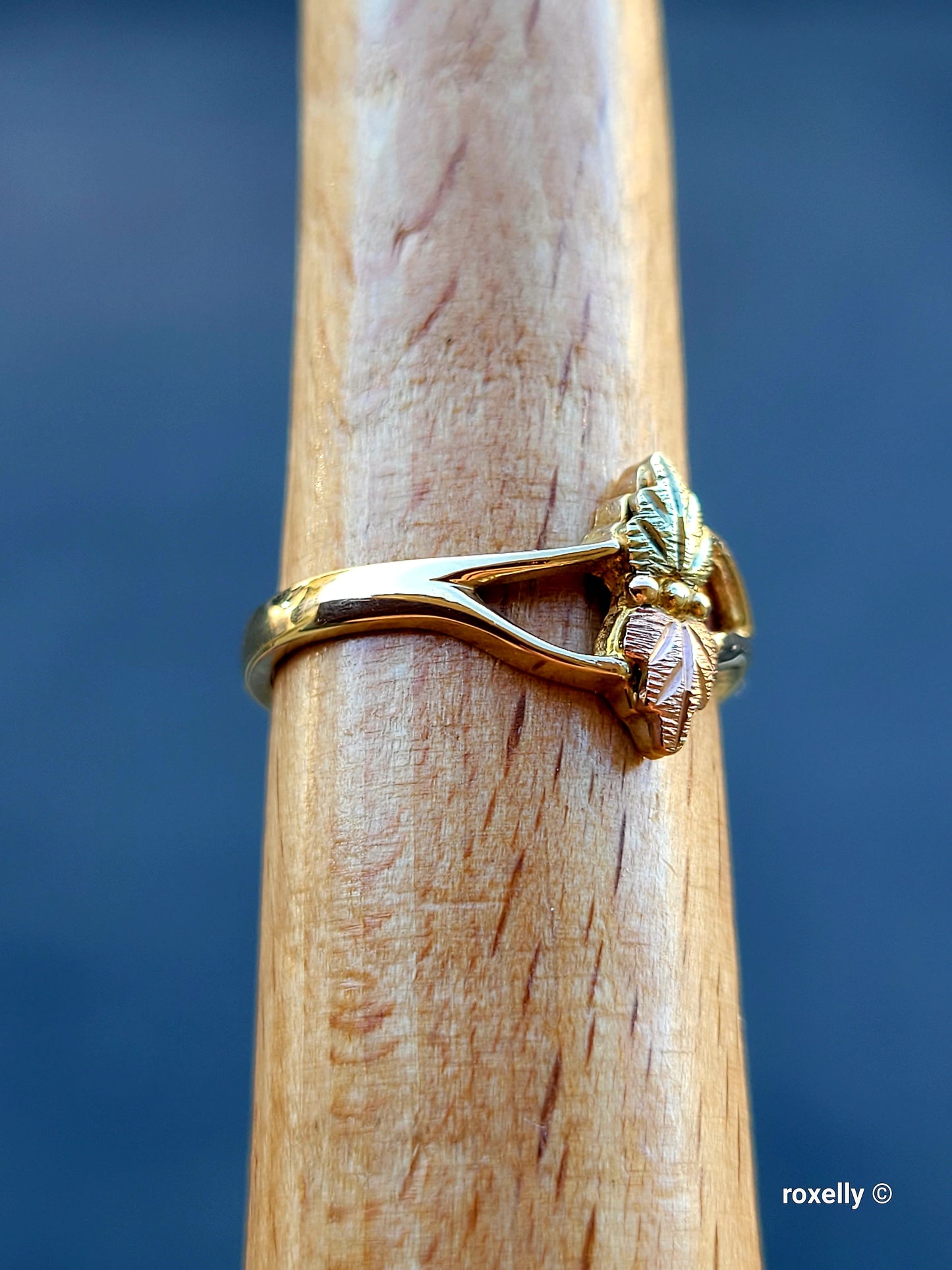 ❤️10k Size 6 Precious Solid Yellow Gold Leaves-Shaped Black Hills Ring!