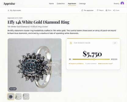 Vintage EFFY 14K White Gold Blue & White Natural Diamond Cluster Ring Size 7